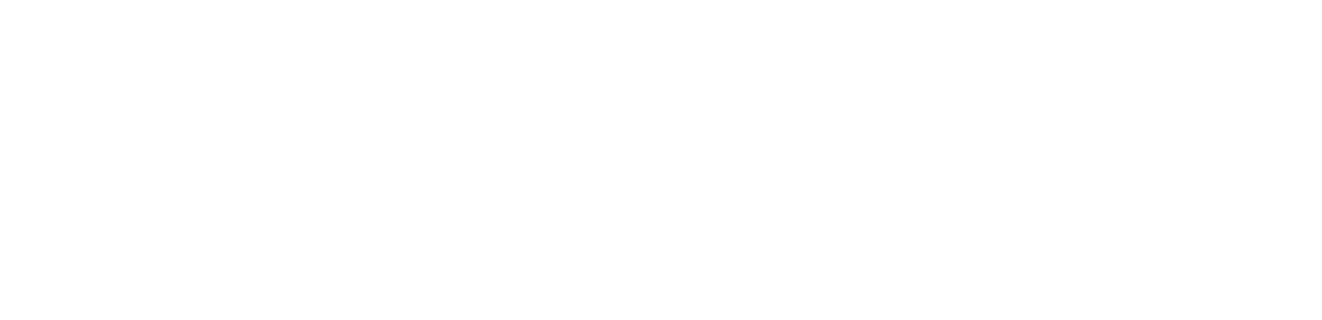 Practivo